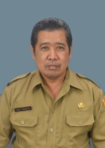 Diro Pranoto